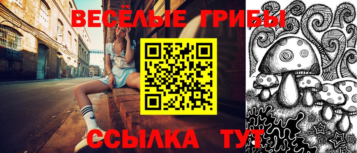 Галлюциногенные грибы Cubensis Каменск-Шахтинский